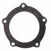 Allis Chalmers D21 Water Pump Gasket, Pump to Plate