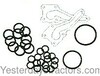 Massey Ferguson 165 Hydraulic pump o-ring and gasket kit