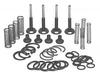 Massey Ferguson 165 Lift Pump VALVE CHAMBER Repair Kit