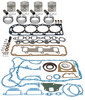 Ford 6600 Basic Engine Overhaul Kit, 256 Diesel