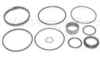 Ford 6600 Cylinder Seal Kit, For 3 inch Cylinders