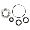 Farmall 504 PTO Bearing and Seal Kit