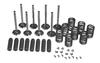 Ford 740 Valve Train Kit, 134 CID Gas