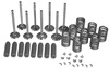 Ford 861 Valve Train Kit, 172 CID Diesel